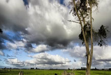 关于征集2025中国大众网球城市挑战赛承办意向的通知.