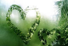 竞技宝：兜了一圈回到NBA，女友却跟了杰伦-布朗.