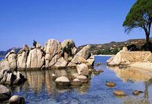 陈雨菲夺冠羽毛球公开赛：国羽四金二银闪.